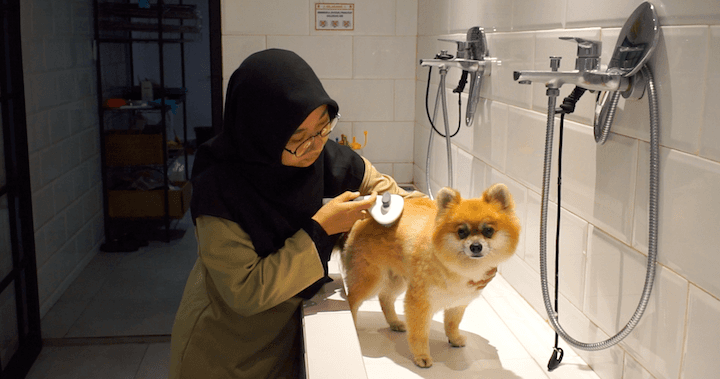 Uninterruptible power for pet care provider